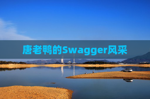 唐老鸭的Swagger风采